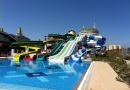 DELPHIN IMPERIAL LARA