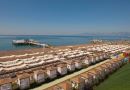 DELPHIN IMPERIAL LARA
