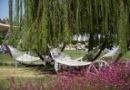 XANTHE RESORT & SPA