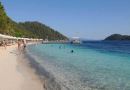 D RESORT GOCEK