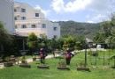 LIMA RESORT