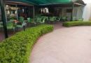 SUMMER ROSE HOTEL