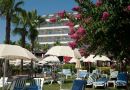 TRENDY PALM BEACH