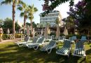 TRENDY PALM BEACH
