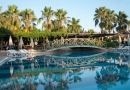 TRENDY PALM BEACH