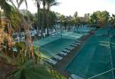 TRENDY PALM BEACH
